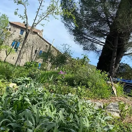Ferme De La Sarrazine *
