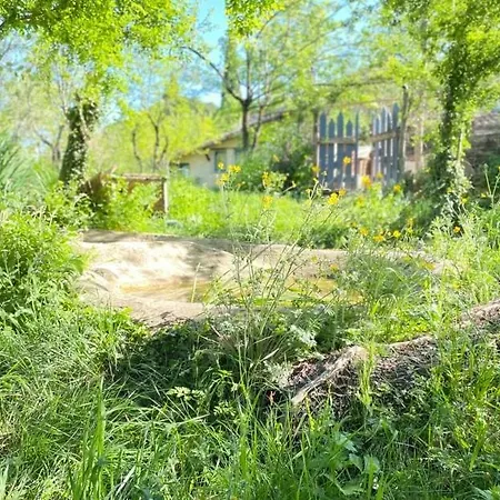 Ferme De La Sarrazine * Berrias-et-Casteljau