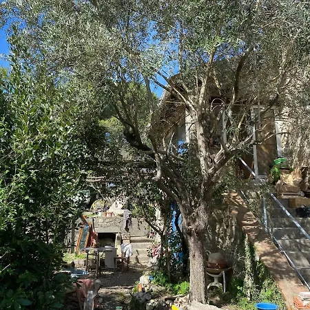 Ferme De La Sarrazine * Berrias-et-Casteljau